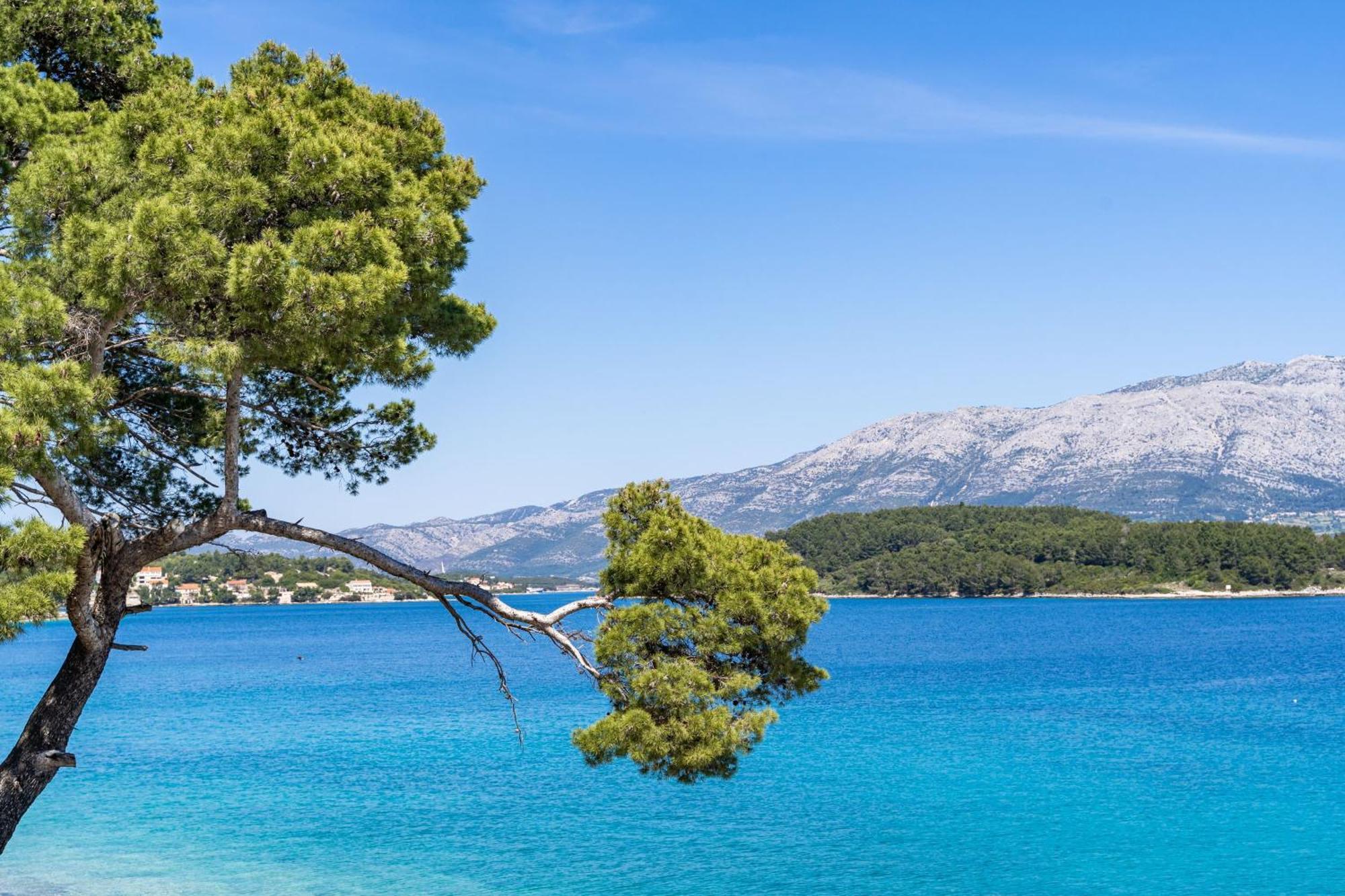 Apartments Nikolina Λομπάρδα Δωμάτιο φωτογραφία